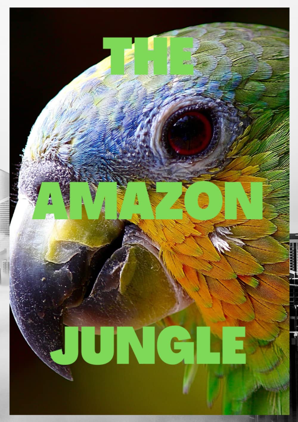 THE AMAZON JUNGLE: There's a Deep Secret in every Forest