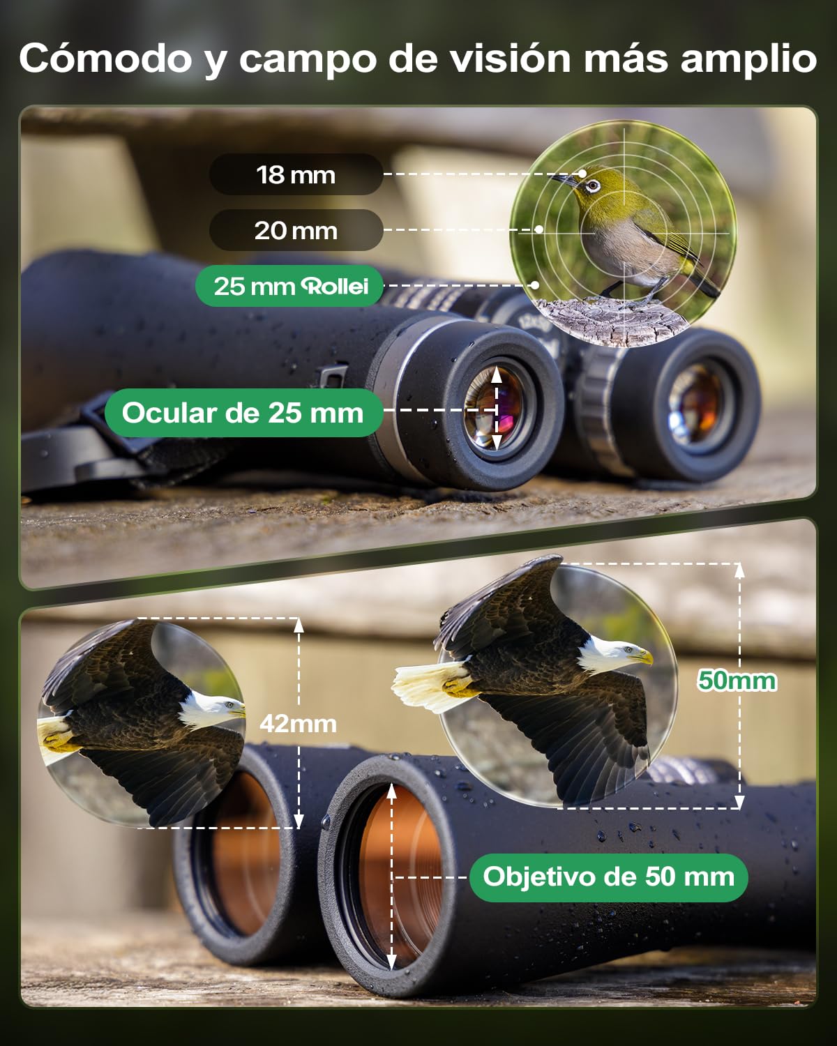 Rollei Prismaticos Profesionales Largo Alcance 12x50 Binoculares Adultos | Prismáticos con Aumento de 12x y Lentes FMC Resistente IPX6 Binoculars para Observación de Aves Caza Senderismo y Sightseeing