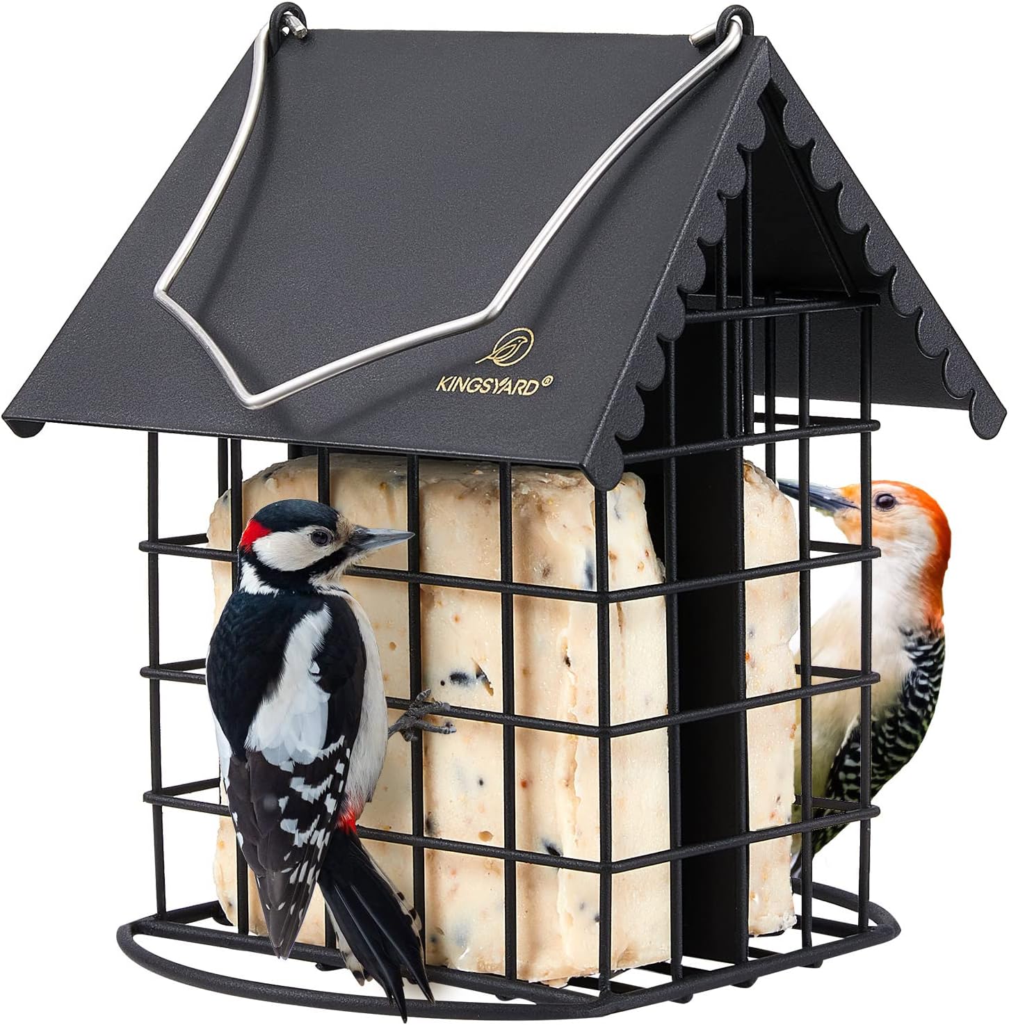 Amazon.com: Natures Way Bird Prdts Upside-Down Suet FDR BMB 4 : Patio