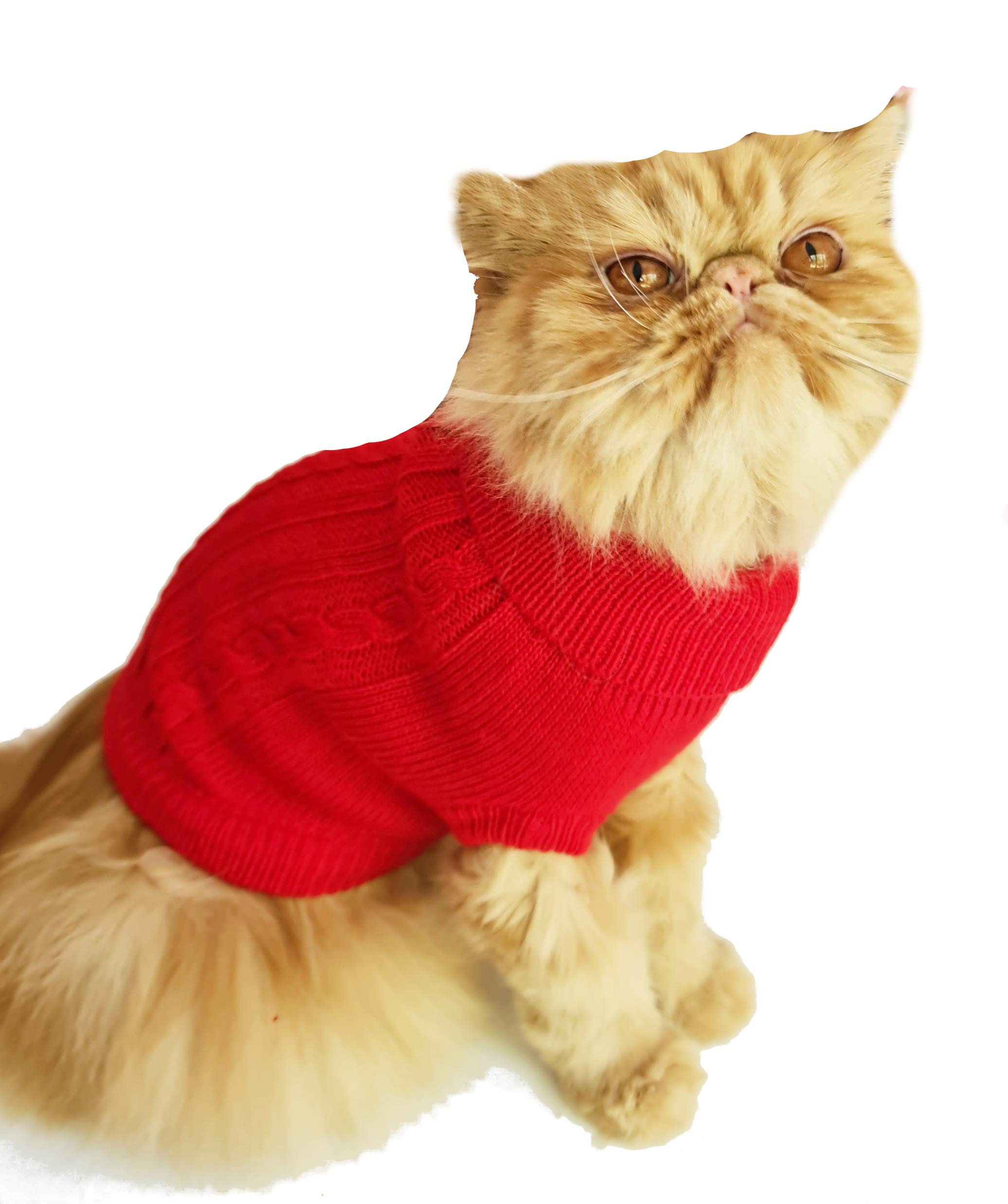 Glamour GirlzSMALL DOG BREED ONLY Warm Winter Block Colour Cable Knit Roll Neck Girl Boy Jumper Large Red