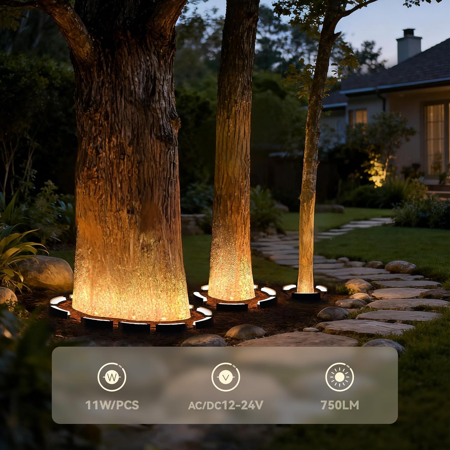 LEONLITE Update 5CCT Low Voltage Landscape Tree Ring Lights, AC/DC 12-24V, 750LM 11W/PCS Aluminum IP65 Landscape Spotlights for Big Tree&Palm Tree, 1800K/2700K/3000K/4000K/5000K, Pack of 6