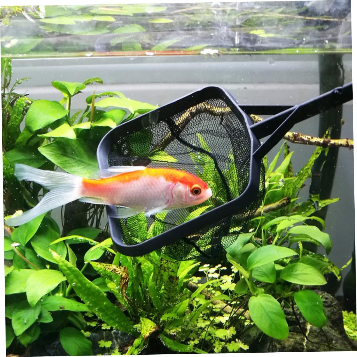 Fish Tank Landing Net Durable Fine Mesh Fishing Nets for Aquariums for Catching Goldfish and Other