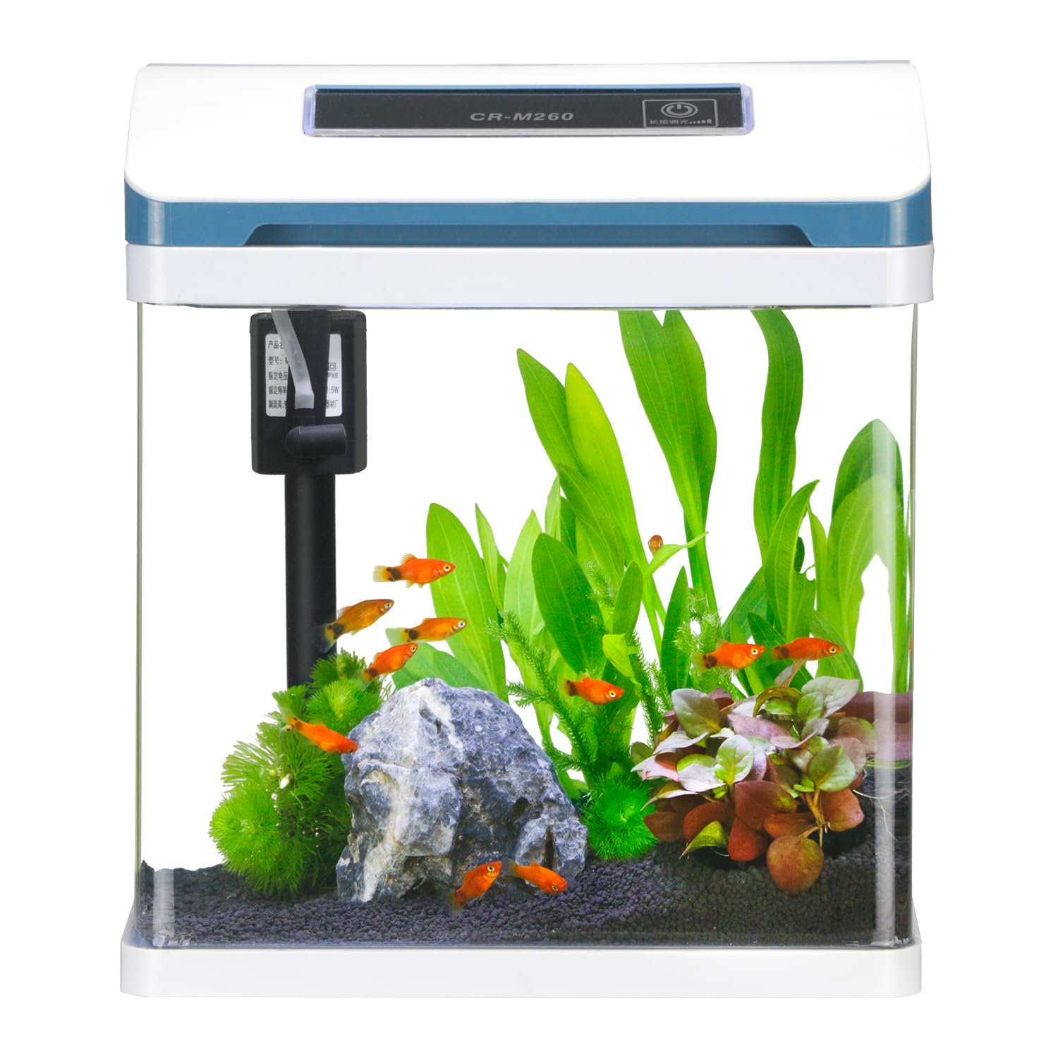 Small Fish Tank, 2 Gallon Glass Aquarium, Betta Fish Shrimp Goldfish Tropical Fish Starter Kit Self Cleaning with Filter & LED Plant Light, Ultra-Quiet Kids Room Decoration Fish Tank