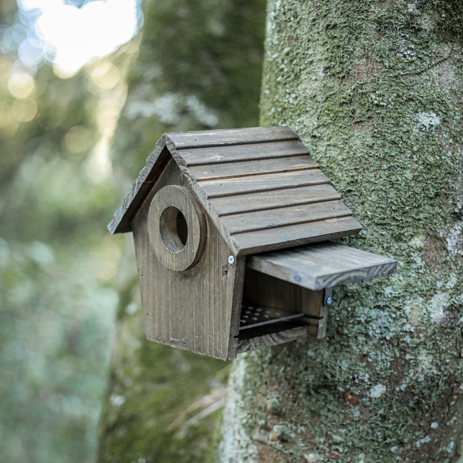 Bird House Black Birdhouse Birdhouse for Outside Wooden Bluebird House with Predator Guard Finch Bluebird Nesting Box Wild Bird Watching Hanging Clearance Garden Bird Feeding Country Cottages (B6-2) : Patio, Lawn & Garden