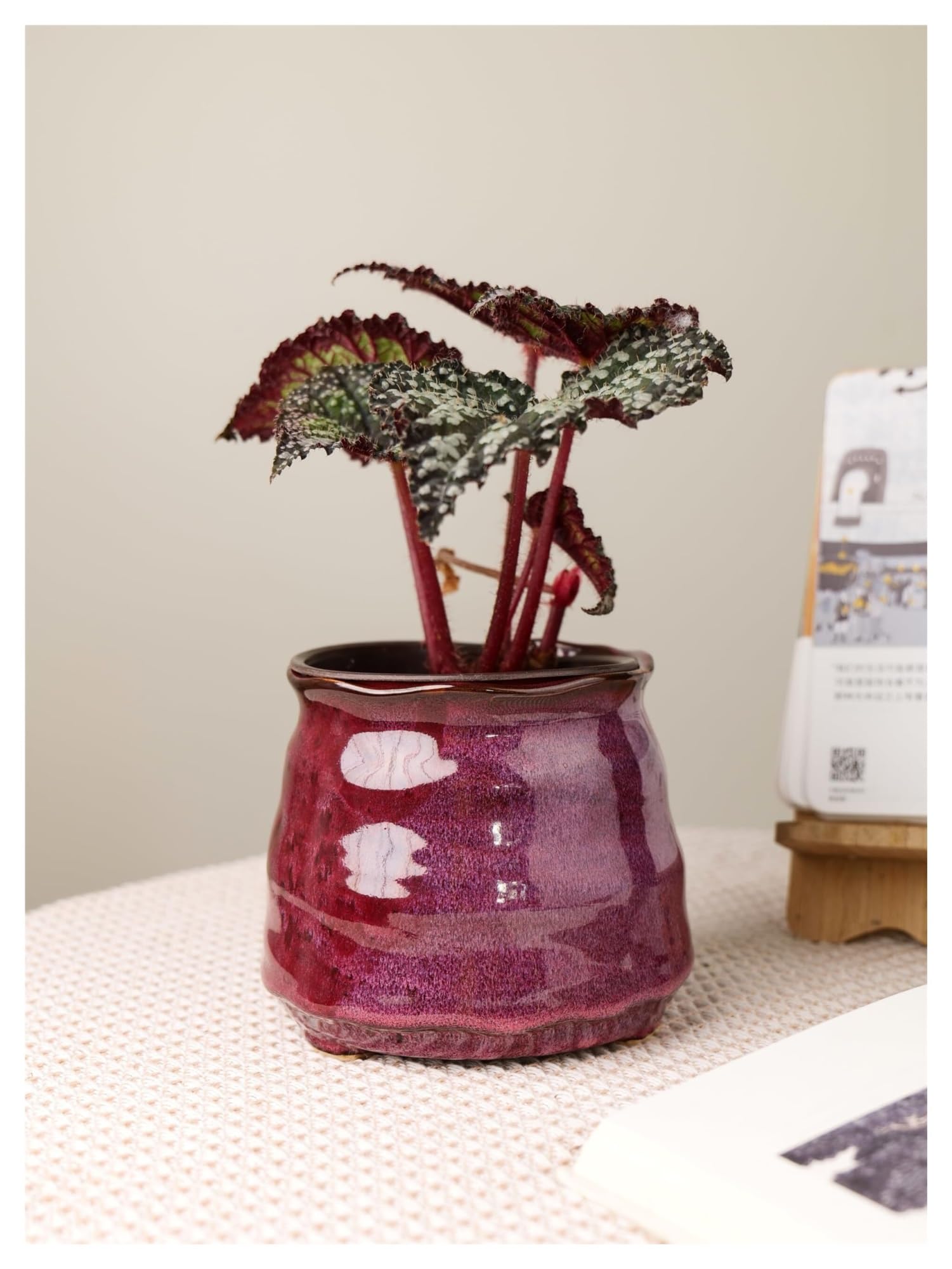 Doniczki do roślin Ceramiczna doniczka na rośliny, dekoracja kwiatowa Boho do domu i biura Prezenty dla miłośników roślin