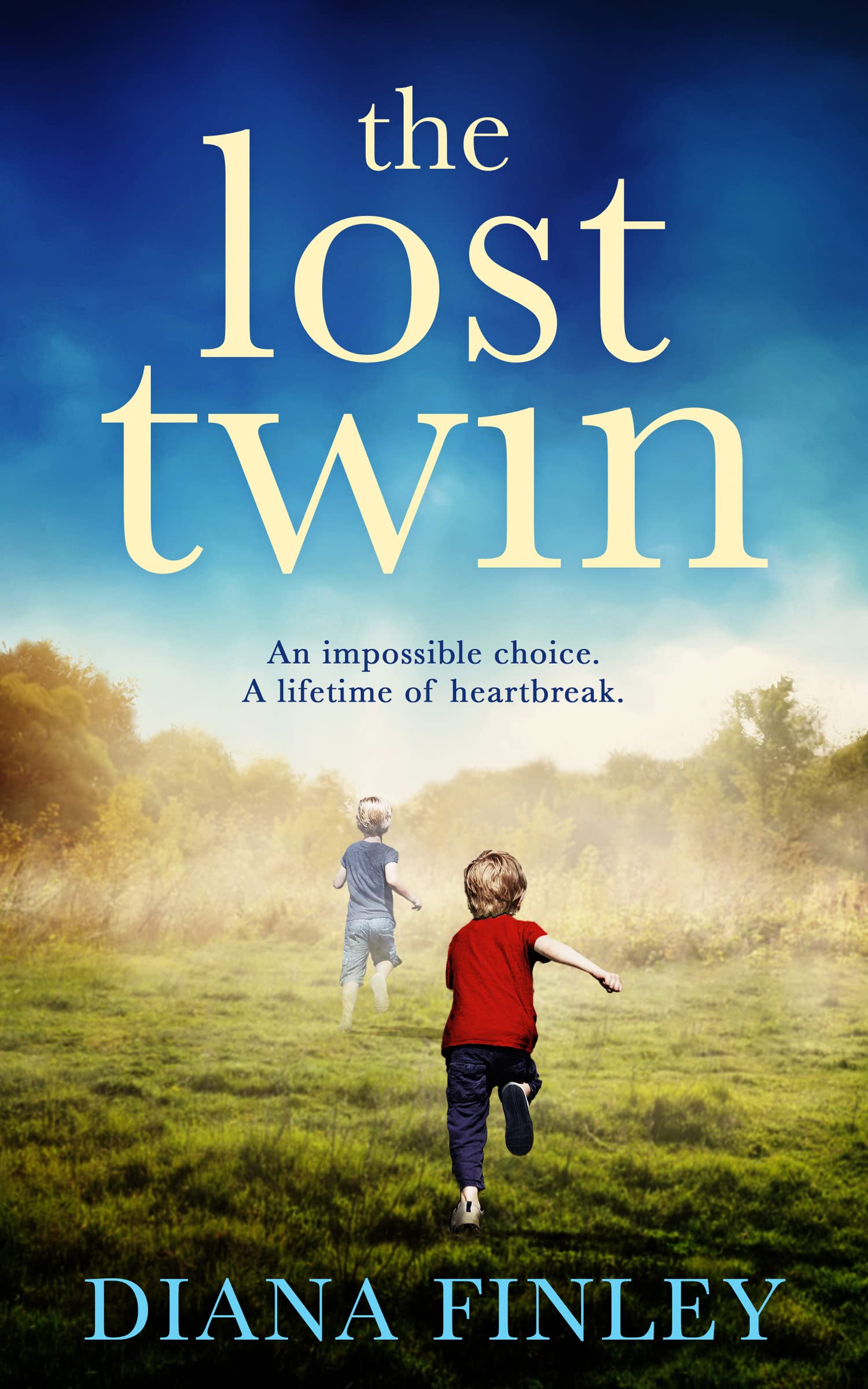 Diana Finley Unisex Multicolor The Lost Twin Paperback Book