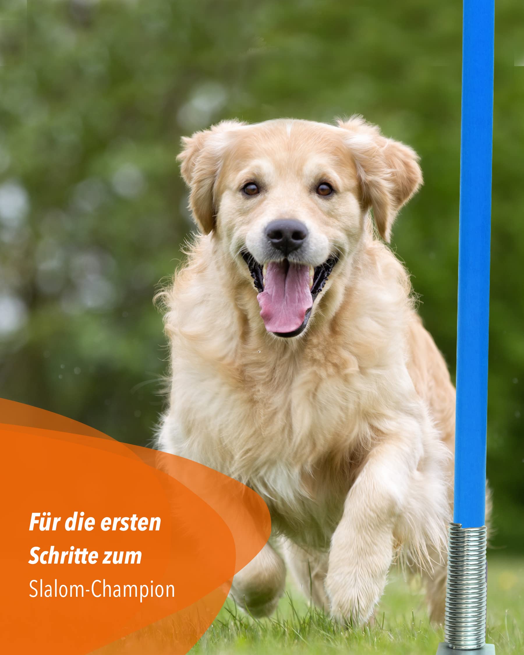 Pied à bascule combiné en métal avec barre de slalom 180 cm - Lot de 4 - Barre pour slalom et entraînement de coordination - Pour football et sports canins - Kit de slalom
