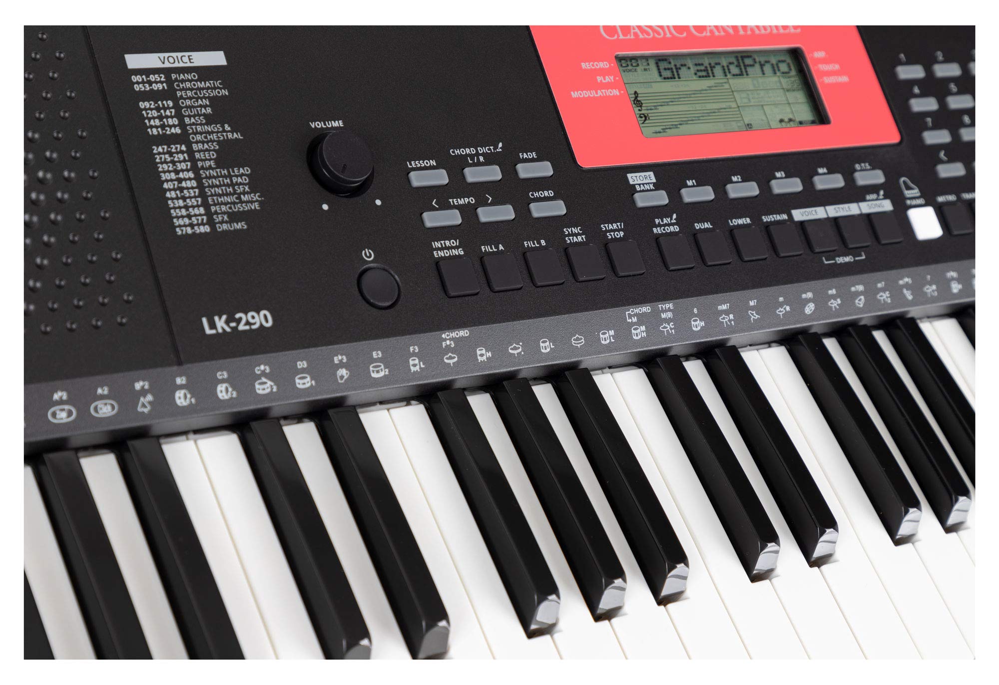 Classic Cantabile LK-290 Leuchttasten-Keyboard - 61 Tasten mit Anschlagdynamik - 580 Klänge und 200 Begleitrhythmen - Anschlüsse für Kopfhörer, Sustain-Pedal und MP3-Player - schwarz | 61 Tasten in Normalgröße mit roter LED-Beleuchtung, Anschlagdynamik (i