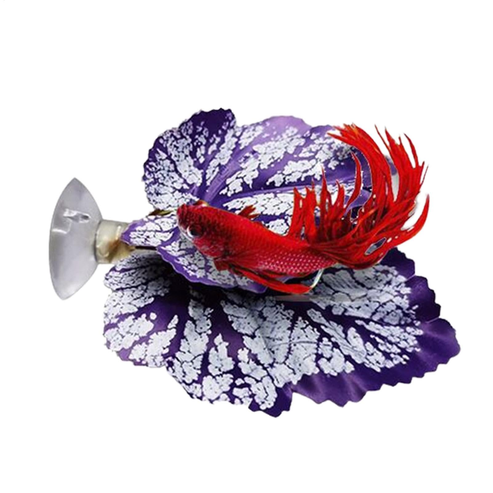 XIAOXIAOYU Feuille de Repos pour Poisson Betta, Coussinet de Feuilles de Poisson Betta,Feuille de Betta légère | Coussinet de Feuilles de Flexible et sûr, pour Aquarium de Poissons Betta, Aquarium,