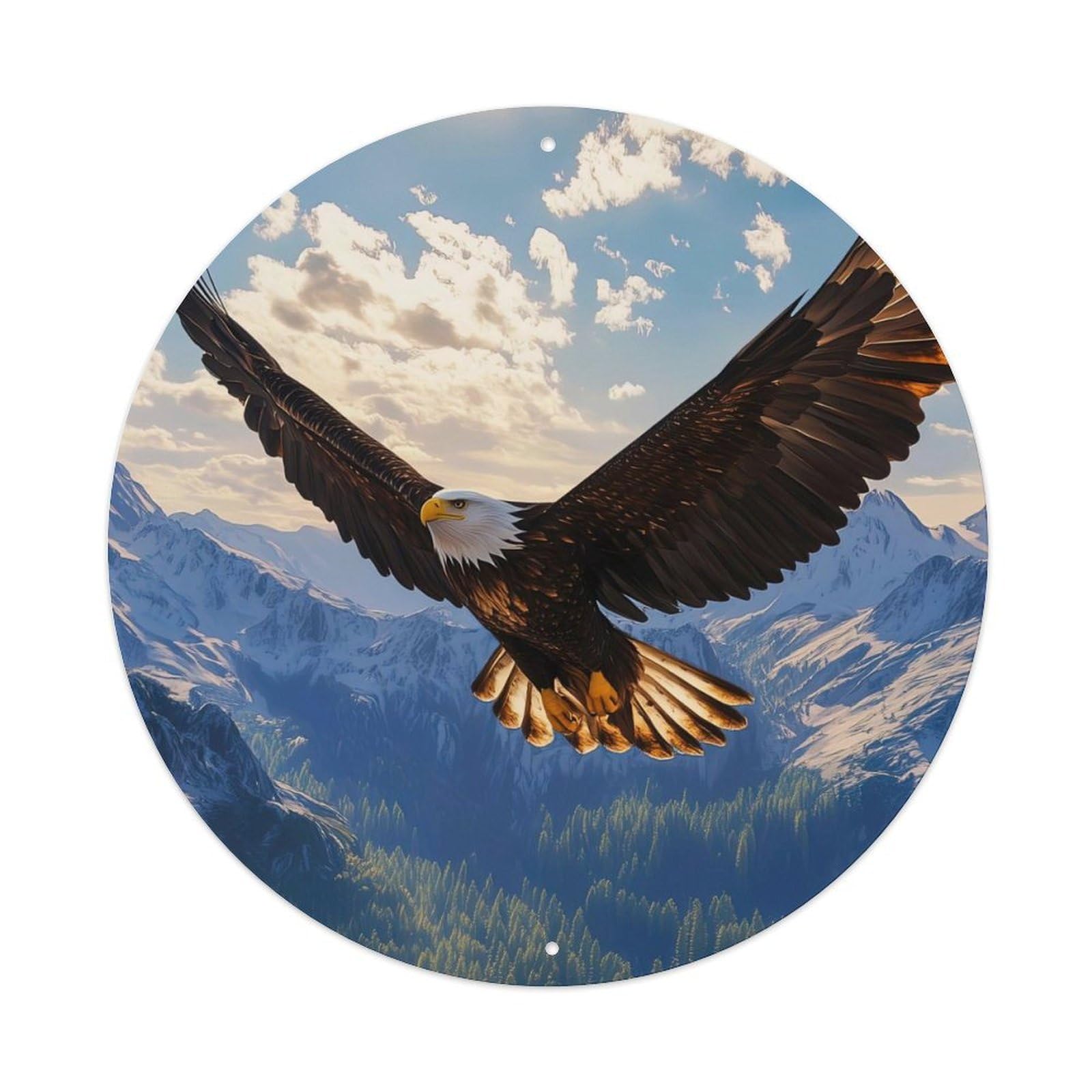 Animal Bald Eagle Soaring Over Mountain Landscape with Sunlight Vintage Metal Tin Sign Plaque Wall Decor for Cafe, Club Bar, Office, Garden Metal Poster 8x8Inch