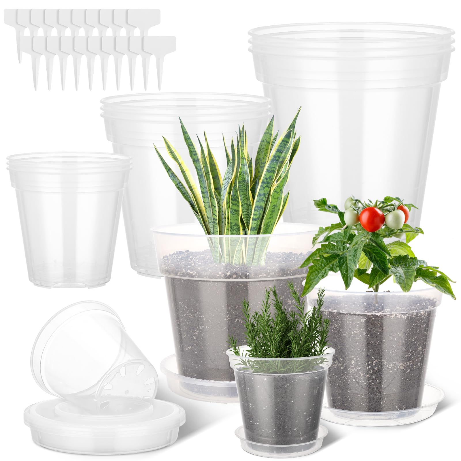 GREANER Lot de 24 pots de fleurs transparents de 15,2 / 20,4 / 25,4 cm - En plastique transparent - Avec ventouses pour plantes - Pour intérieur et extérieur