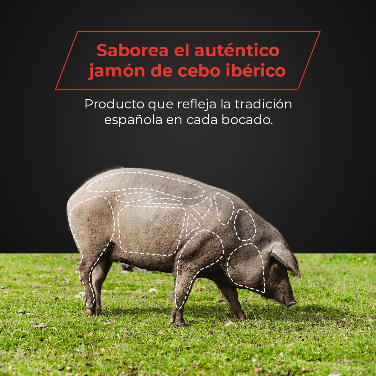 Pack de 5 sobres de Paleta de Cebo Ibérica 50% Raza Ibérica - Sabor Auténtico y Curación Tradicional - Perfecto para Disfrutar en Casa o Regalar - EIbérico