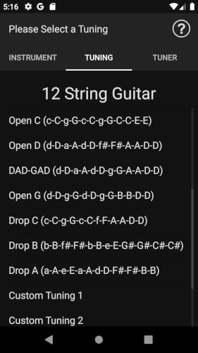 Musictoolkit Lite: 12 String #TOP5