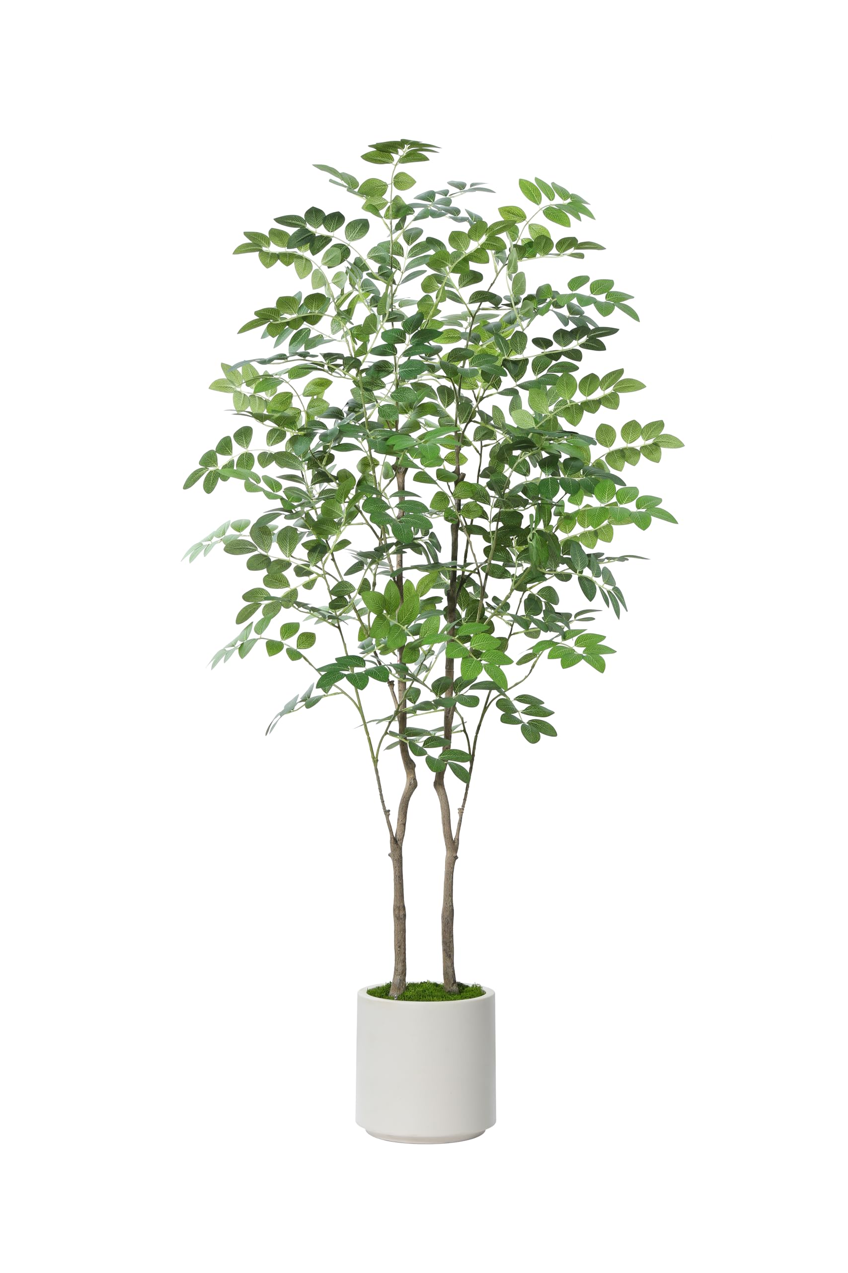 PISKOAN Artificial Moringa Tree