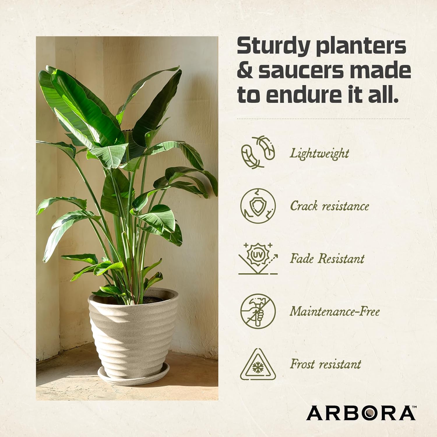 ARBORA 16 Inch Round Plant Saucer – Cream Heavy Duty Indoor and Outdoor Plant Pot Tray for Planters with 12.5 Inch Base or Less