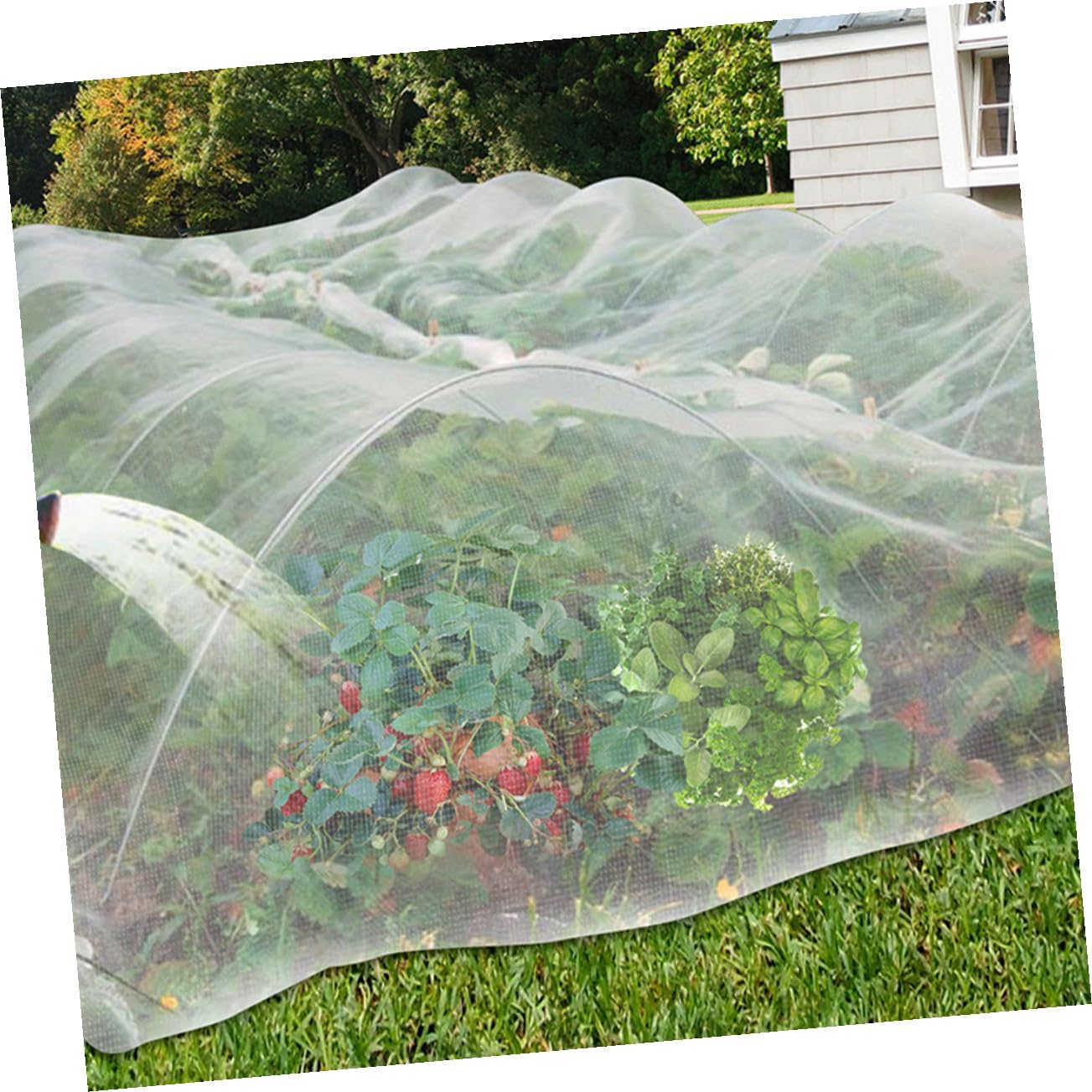 Hemobllo Malla de Protección para Jardín Malla Fina Antipájaros para Plantas para Huerto Resistente UV y Ligera para Frutas y Vegetales