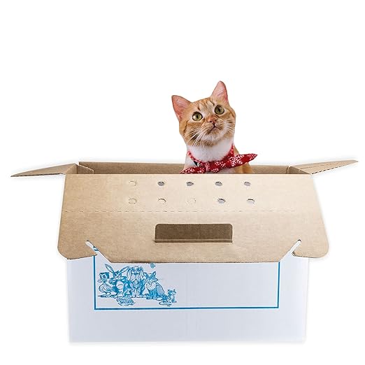 disposable cat carrier