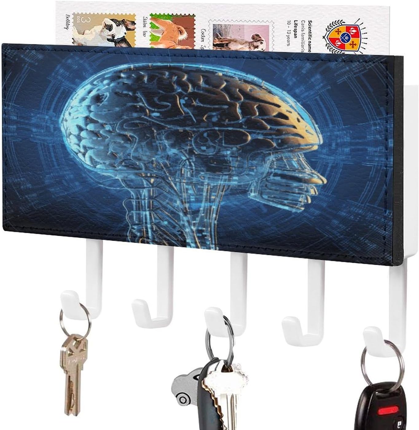 Artificial Intelligence Brain Key Holder for Wall Mount Key Hooks Key Rack with Self Adhesive PU Key Hanger Personalized Key Organizer Rack with 5 Hooks for Hallway Door Entryway