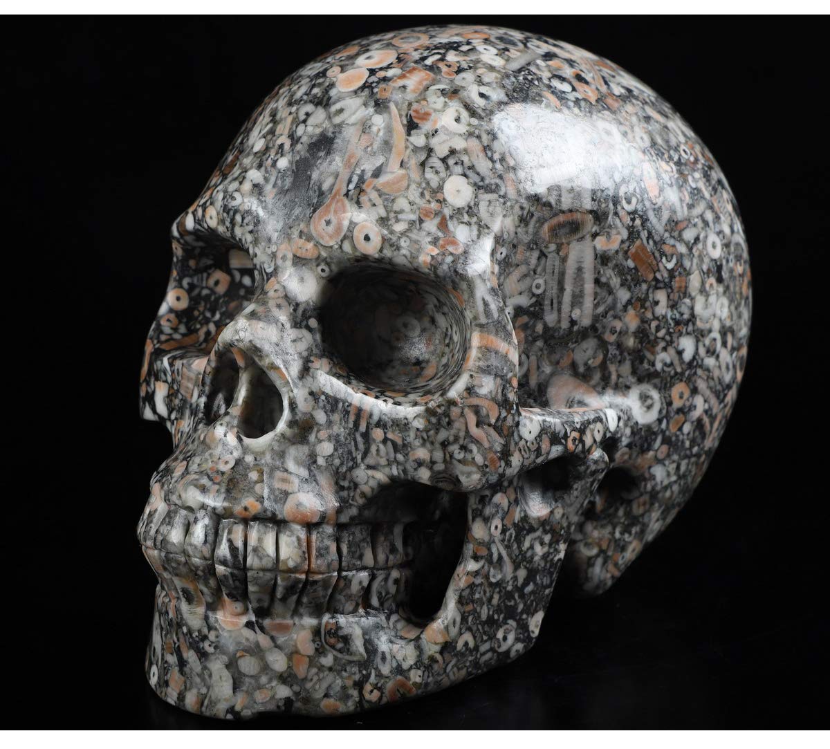 2.0”Crinoid Fossil Crystal Skull, Hand Carved Gemstone Fine Art Sculpture, Reiki Healing Stone Statue.920A