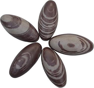7-Inch Narmada Shiva Lingam Stone | Natural Sacred Banalinga from Narmada River with Beautiful Brown Shades | Handpicked Energy Stone for Meditation, Puja Room, Temple & Spiritual Healing Decor