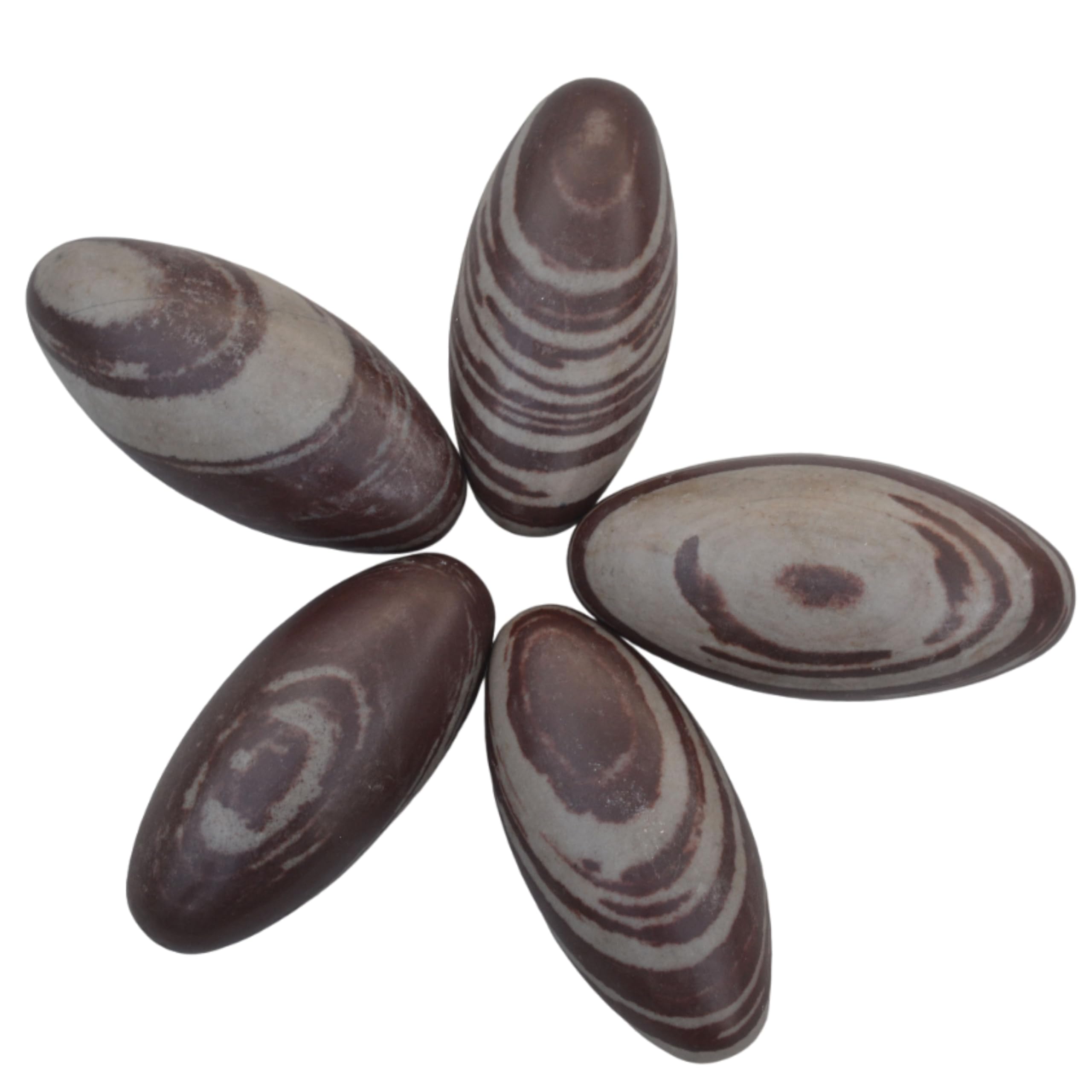 7-Inch Narmada Shiva Lingam Stone | Natural Sacred Banalinga from Narmada River with Beautiful Brown Shades | Handpicked Energy Stone for Meditation, Puja Room, Temple & Spiritual Healing Décor
