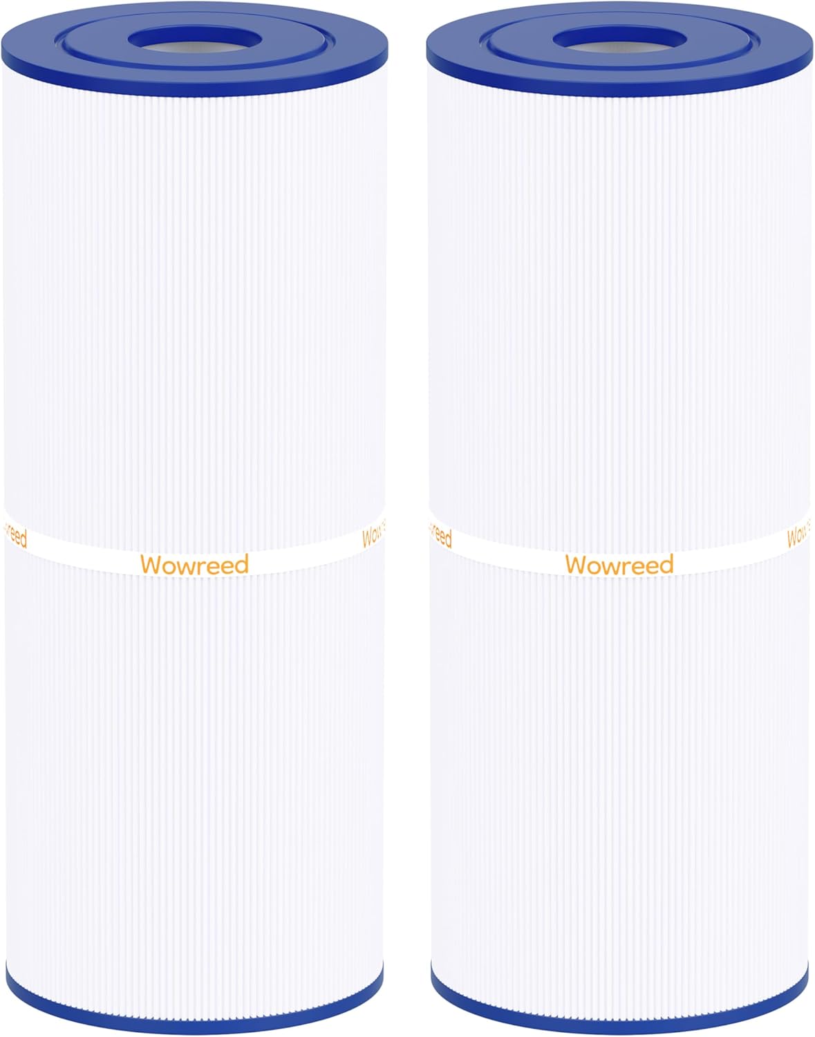 Spa Filter Compatible with C-4325, PA225, CX225RE, C225filter, FC-1220, 2 Pack