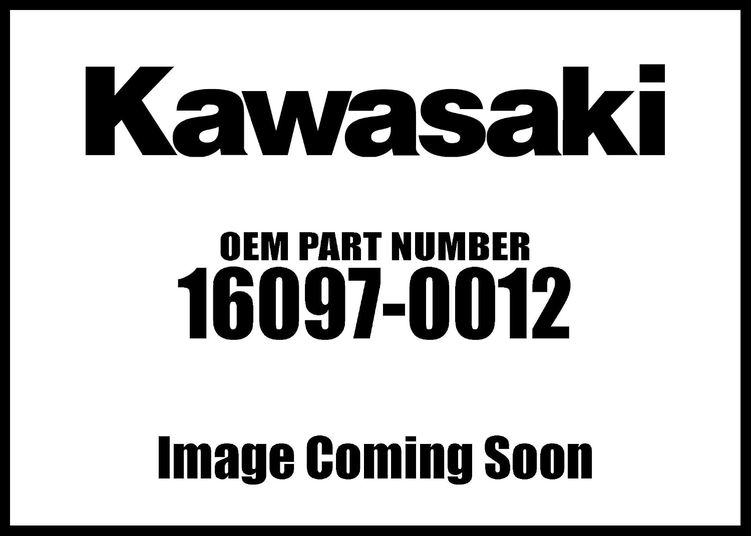 Kawasaki 2016-2020 Mule Teryx Filter Assembly Oil 16097-0012 New Oem