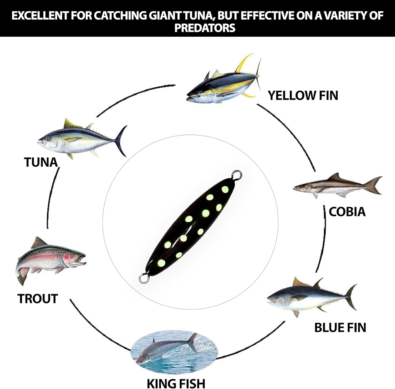 5" Eddie Bomb Vertical Flat Fall Jigs 16oz, 2 Pcs, Black Polka Dot, Unrigged, for Heavy Bluefin Tuna Jigging, Includes Streamlined Design, Ideal for Tuna, Amberjack, and Deep Sea Predator Fishing