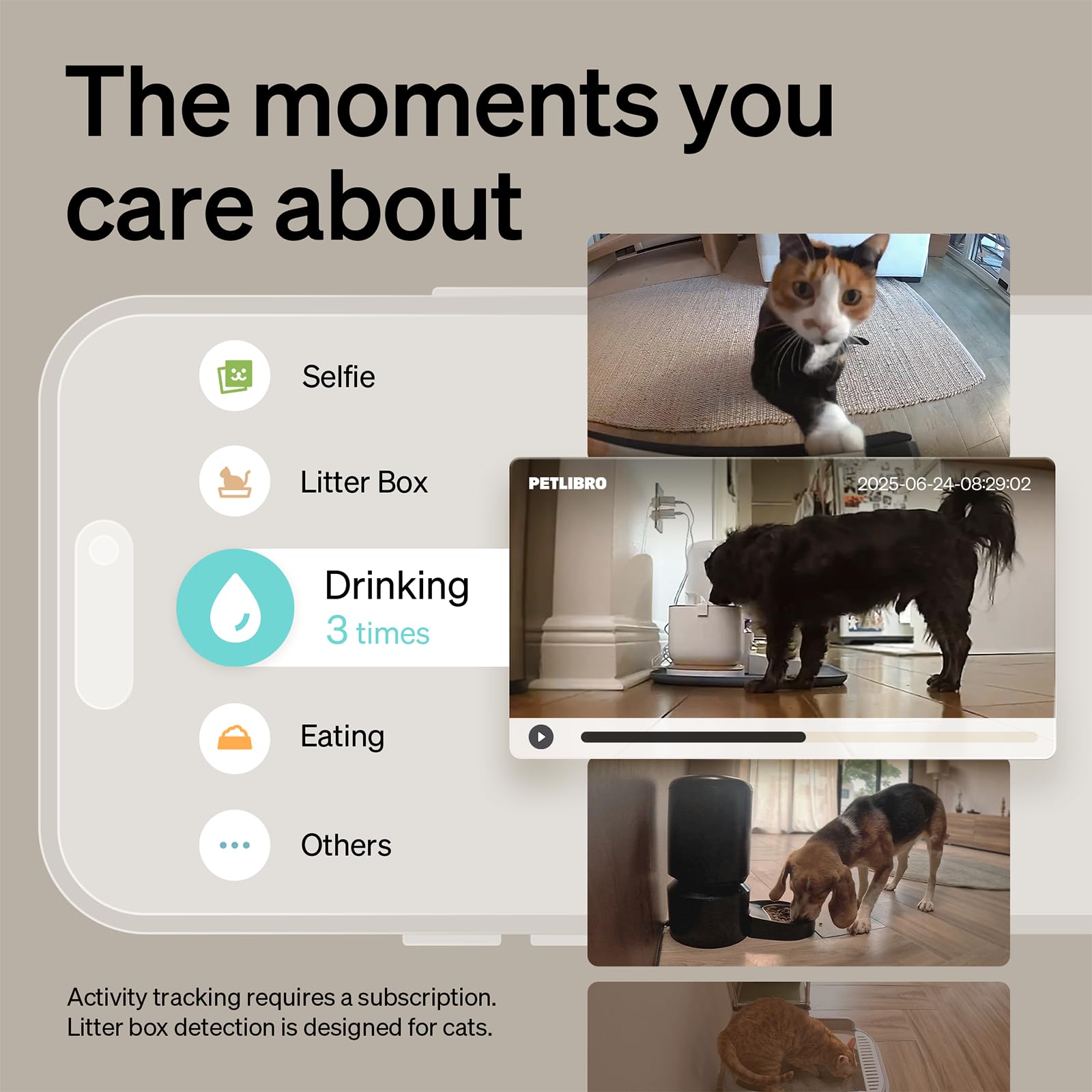 PETLIBRO Scout AI Pet Camera, Cat Dog Multi-Pet Recognition & Behavior Tracking, 1080p Pan/Tilt Indoor Camera, 360° HD View - Image 3