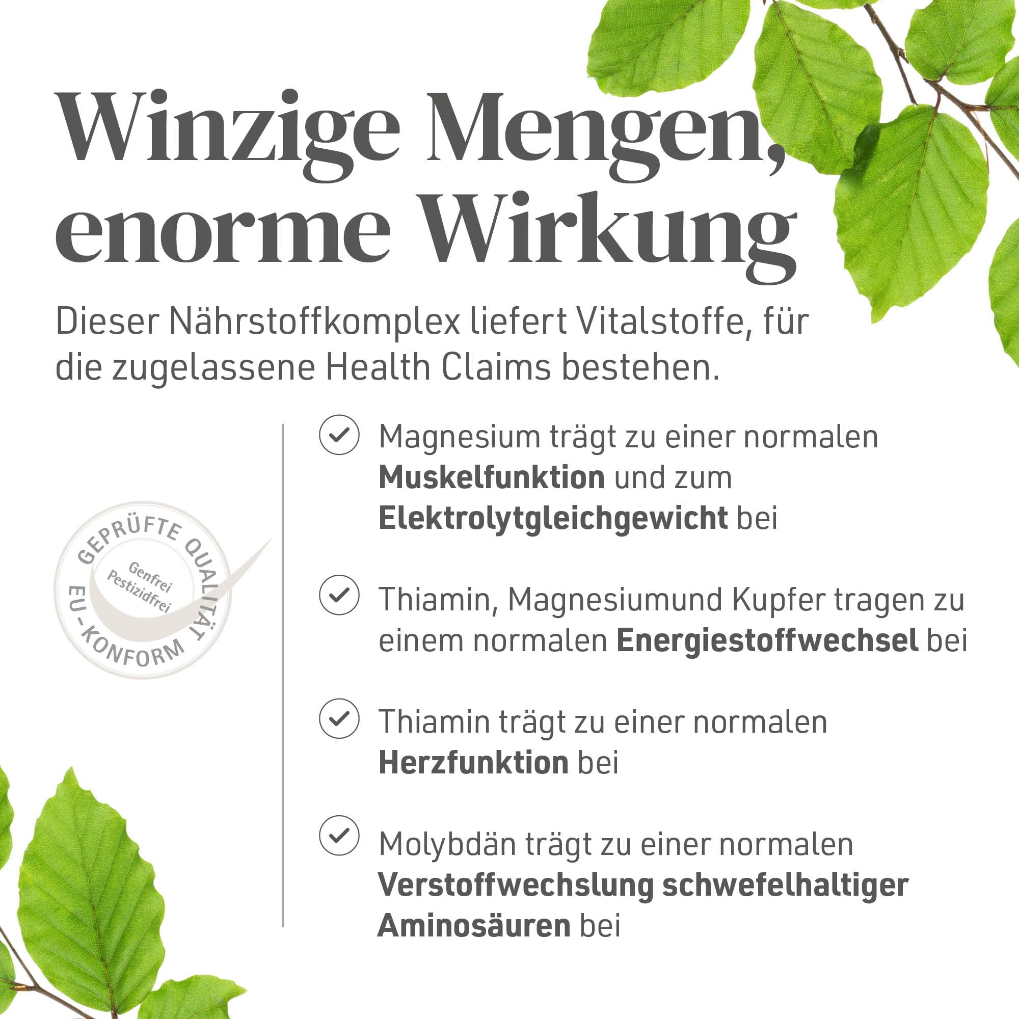 Priosa Muscle Fit + Magnesium Komplex - 80 Kapseln | Synergetische Mischung aus Magnesium, Aminosäuren, Vitaminen & CoEnzymen | hilft bei Muskelkrämpfen | Vegan, Ohne Zusatzstoffe