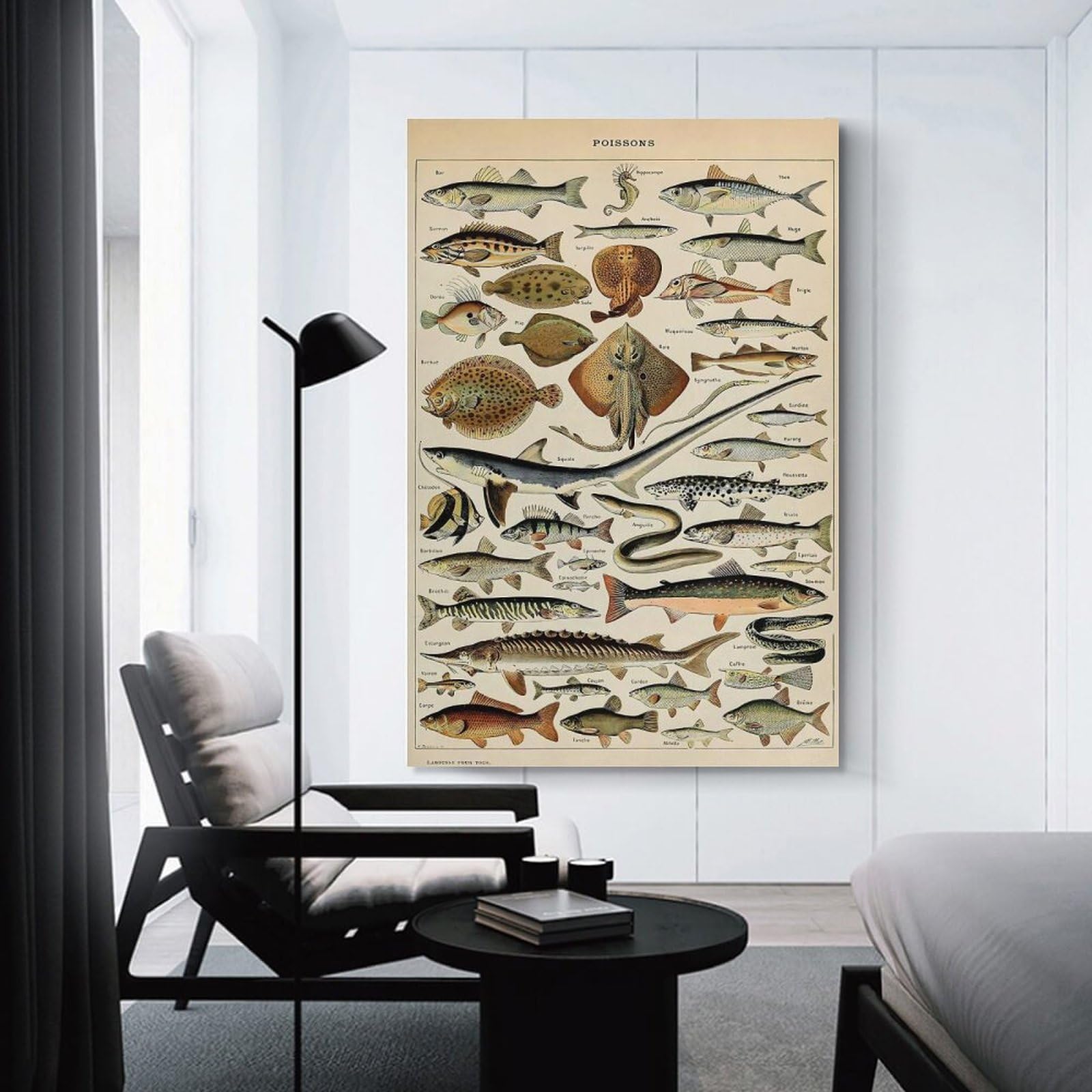 Junmoney Unframe-Style-12-2 Adolphe Millot Fish Decorative Wall Artwork 16X24inch(40X60cm), For New Homes, Bedrooms Or Workspaces, A Wall Art Gift For Fresh Interiors