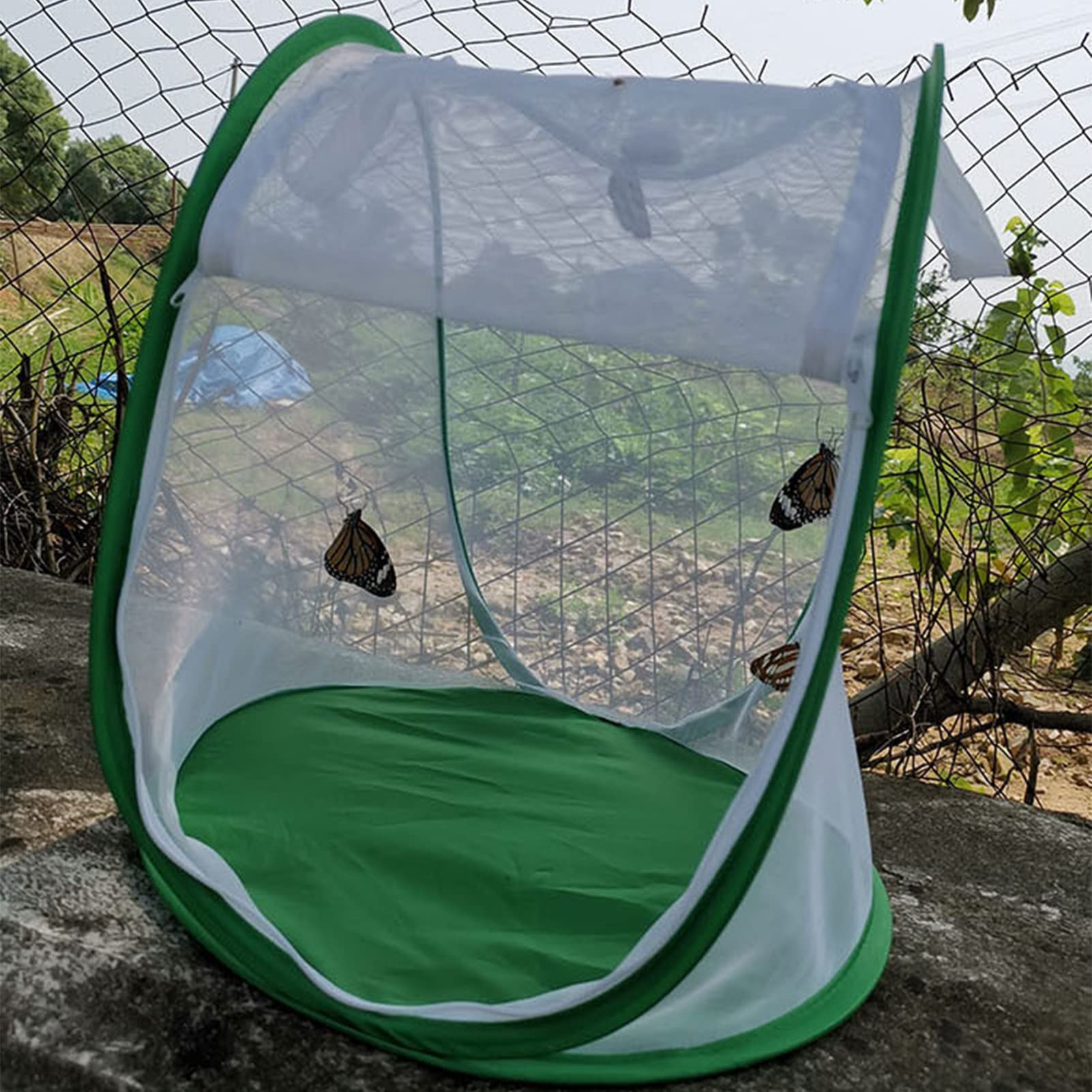 Siedlisko Motyla, Przezroczysta Klatka dla Owadów Monarch Butterfly Składana Obudowa Motylkowa z Przenośnym Uchwytem do Użytku w Pomieszczeniach na Zewnątrz, 13,2 X 13 X 14,4 Cala