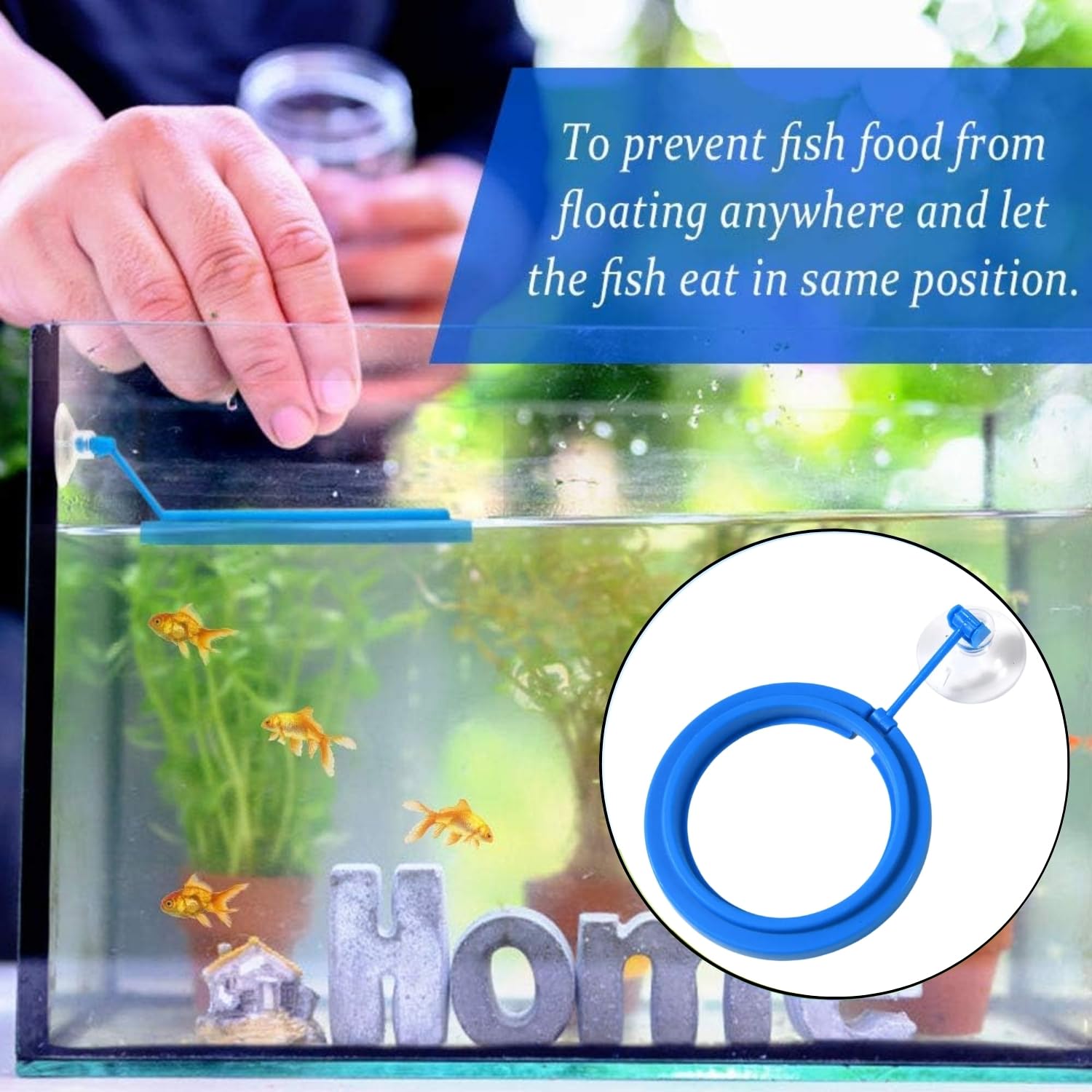 Sage Square Circle Floating Feeding Ring for Aquarium | Adjustable Suction Cup Attachment | Prevents Food Scattering | Keeps Aquarium Clean | Floating Food Tray for Flakes, Pellets | All Fish Tanks 3