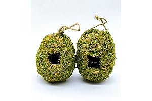 Reptile Mossy Hide Cave