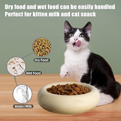 Miniatura 3 de Cuencos para gatos de 6.1 pulgadas, cuenco de cerámica de 7 onzas para gatos, cuenco para aliviar la fatiga de bigotes, antivómitos, protege la