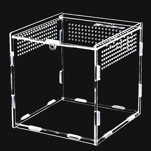 Keweni 360° Clear Acrylic Terrarium for Spiders, Scorpions & Beetles
