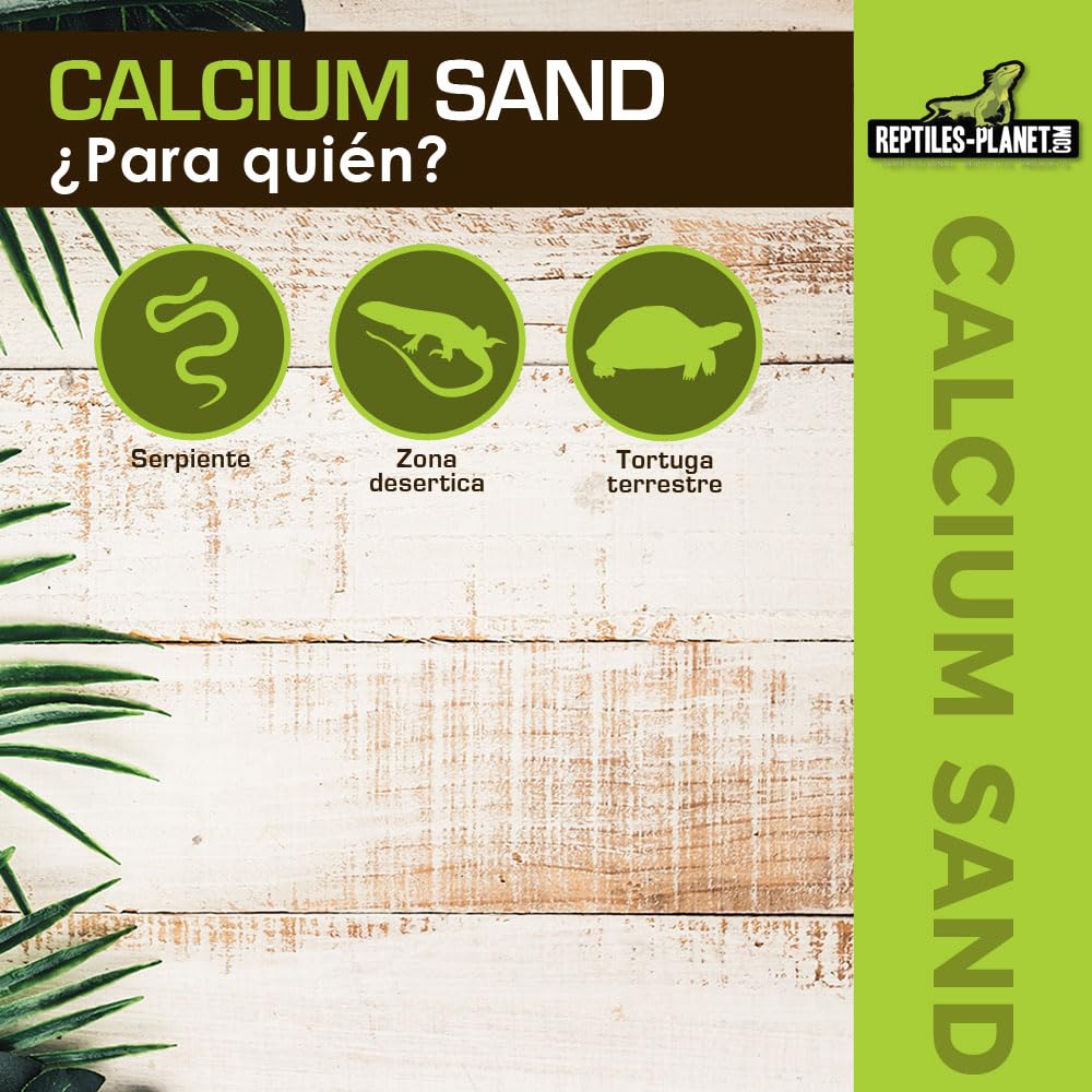 Reptiles-Planet Arena de Calcio, 2.5 kg, Crema Sáhara