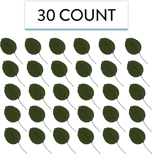 Miniatura 3 de Global Sugar Art Hojas de hortensias para pastel de azúcar, flores pequeñas verdes, 30 unidades por el chef Alan Tetreault