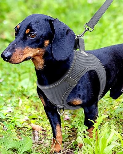 Vista 34 de Joytale arnés para perro, 12 colores, chaleco de malla transpirable, arnés acolchado suave reflectante para perros medianos, negro, XL.