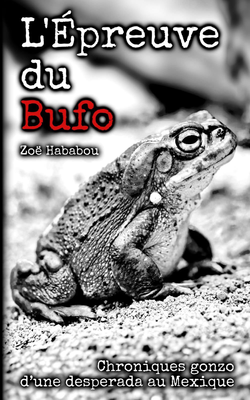 L'Épreuve du Bufo: Chroniques gonzo d'une desperada au Mexique