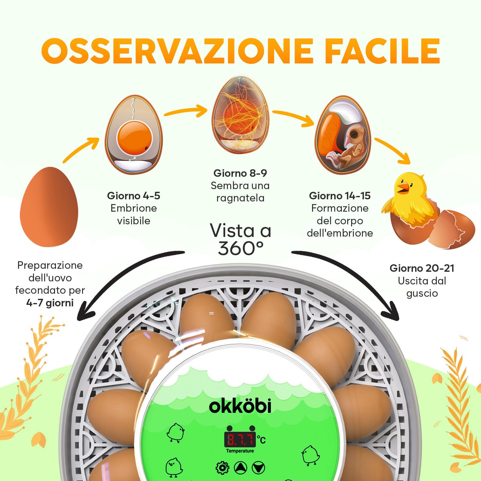 Okkobi M12 - Incubatrice per uova automatica con Girauova Automatico e Controllo Umidità - Incubatrice uova gallina - 12/24 uova, vista a 360°, facile da usare e pulire - Bianco e verde