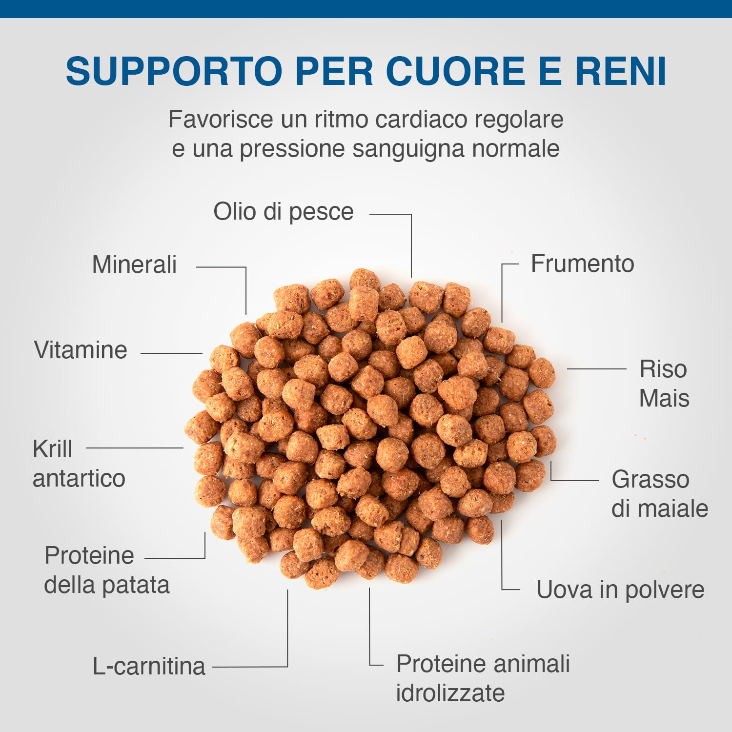 Specific Specific Canine Adult Ckd Kidney Support 7Kg 7000 g