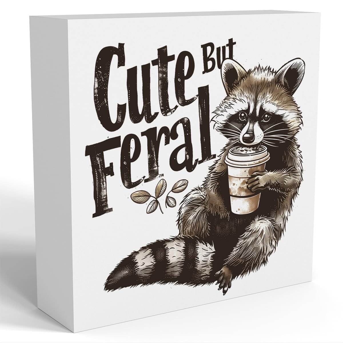Funny Raccoon Decor Racoon Bathroom Decor Ornament Raccoons Pet lovers Racoons Gifts for Women Men Animal Gifts for Family Friends Wooden Box Sign for