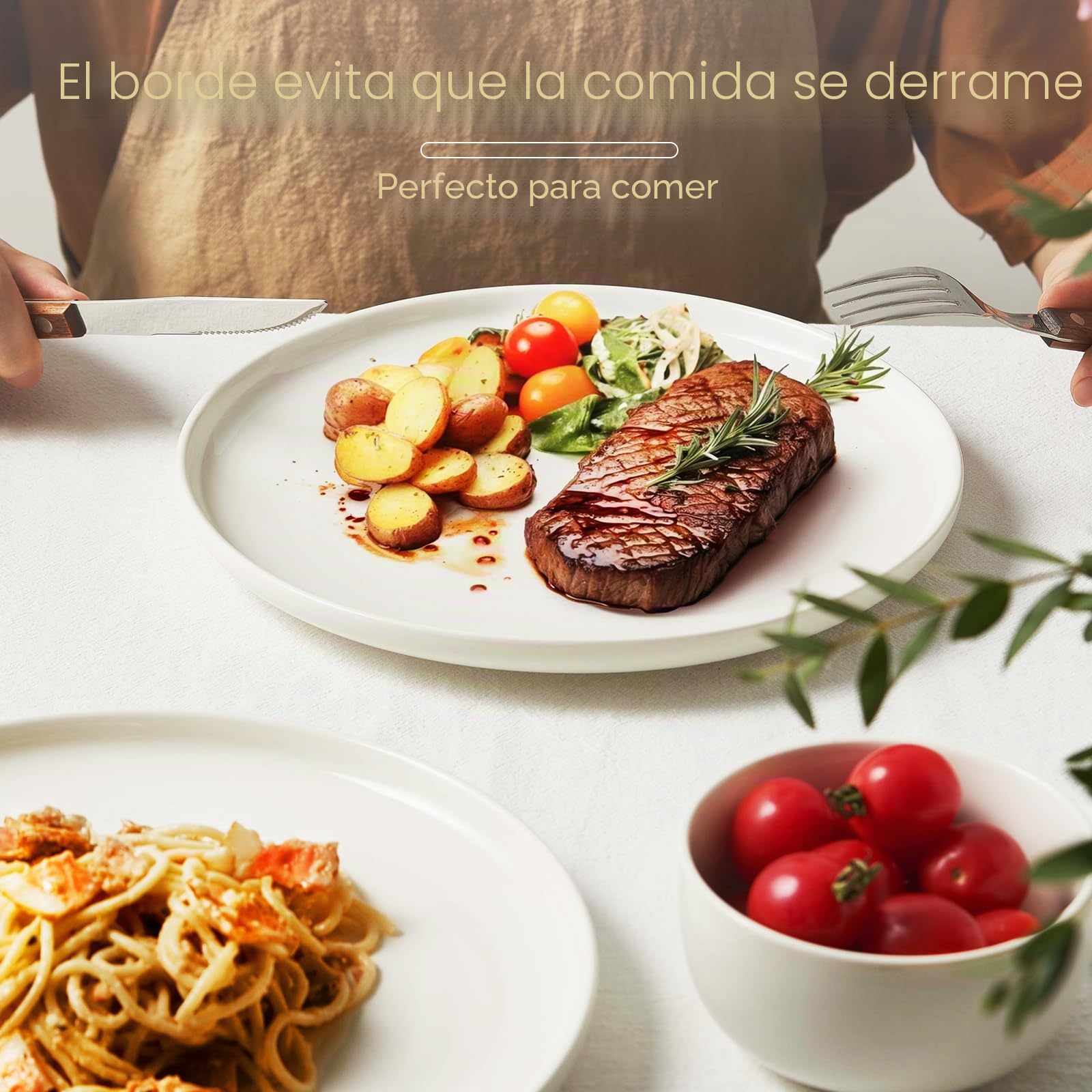 Jassceram Juego de 6 platos llanos de cerámica de 10.5 pulgadas, platos grandes de cerámica, platos redondos para ensalada, postre, pasta, lavavajillas, microondas, apto para horno, 27 cm, color