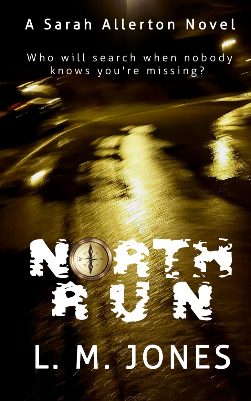 NORTH RUN (The Sarah Allerton Series)