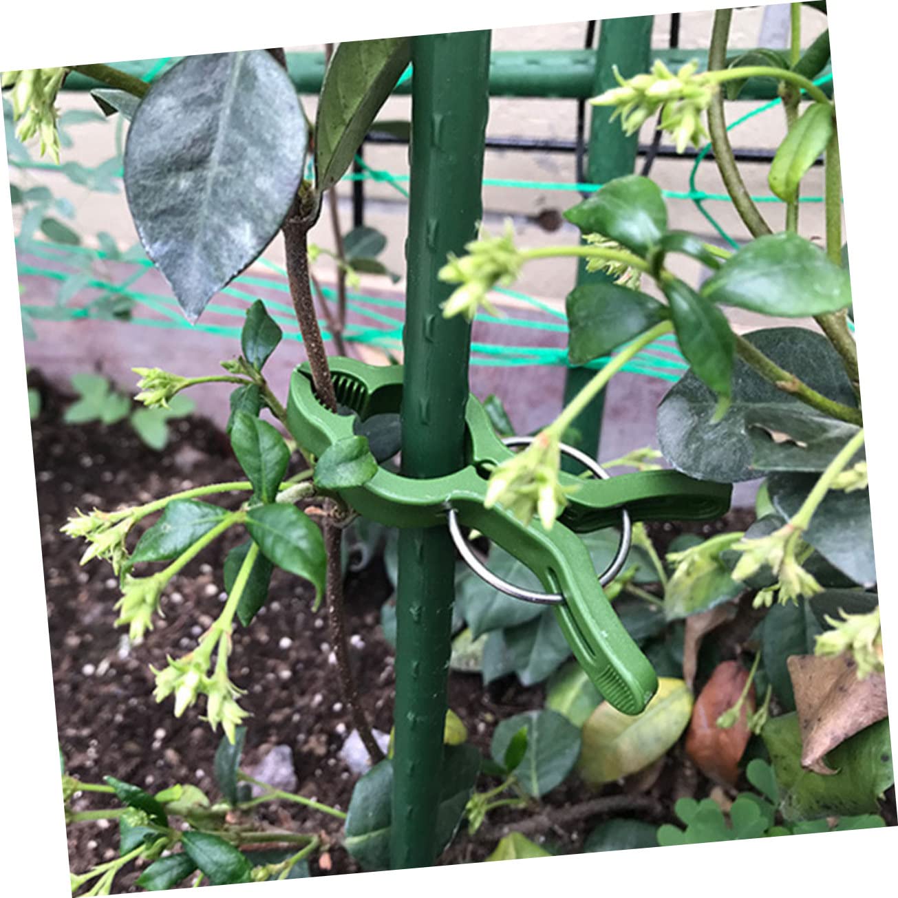 Toddmomy 50stücke Pflanzenclips Für Garten Und Orchideen Wiederverwendbare Clips Aus Robustem Zur Pflanzenstütze Für Rankpflanzen Und Topfpflanzen Grün