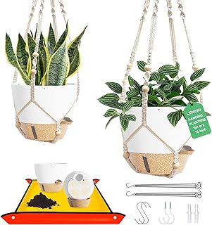 Set of 2 Hanging Planters for Indoor Plants with Self Watering Includes ...