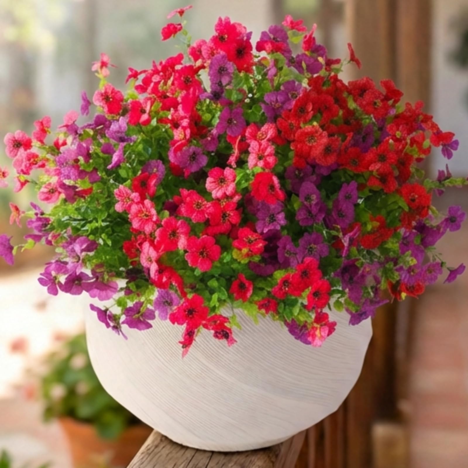 product_img5