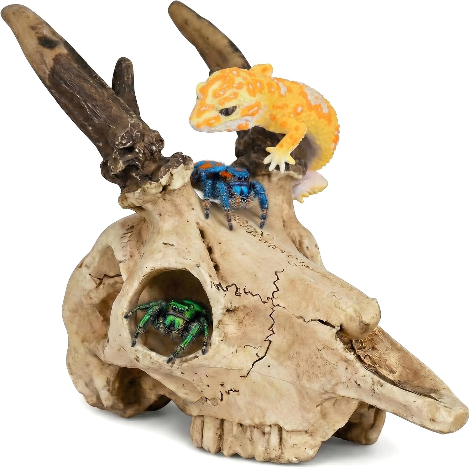 Reptile Hide Cave, Fox Skull Design, Resin Hideout for Leopard Gecko, Snake & Lizard, Multi-Entry Terrarium Shelter,5.31“ × 5.83” × 6.1"(Fox Skull)