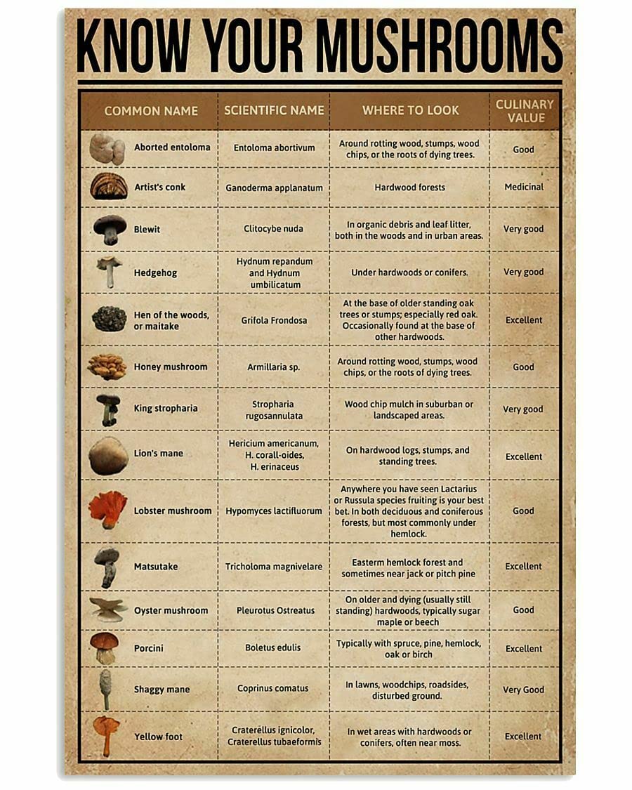 HOUVSSEN Know Your Mushrooms Poster Knowledge Wall Décor Art for Friend Chart Metal Tin Sign School Metal Tin Signs 8x12 Inch